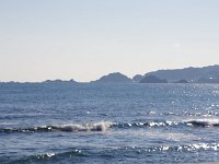 IMG 0811