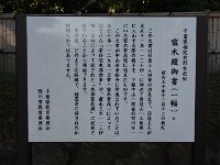 IMG 0818