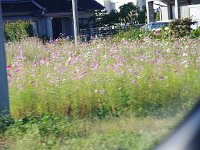 IMG 0843