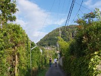 恒例の朝の散歩
