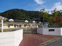IMG 0877