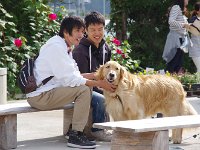 前世は「犬」？との弟の弁。