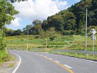 棚田がチラホラ
