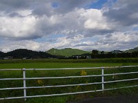 IMG 0980