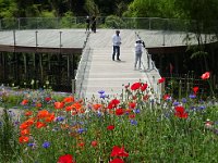 展望デッキは秀逸・・・いい眺めを楽しめました。