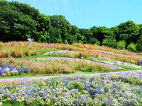 此れより英くん作品