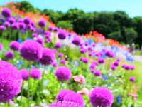 いい題材でしたね