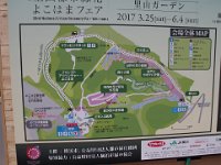 程々の大きさなので、使いやすい