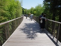 素敵なアプローチ・・・シンガポールを思い出しました