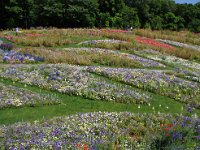 此れより正明さん