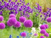 此れ以降は混在です。見比べて下さい。