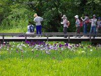 おばさまたちの多い事