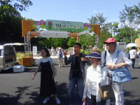 英くんにマクロを