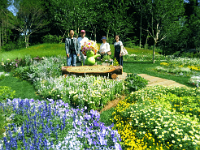 今日も、トレードマークの赤帽子