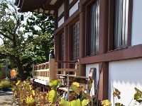 蓮が有名なのです