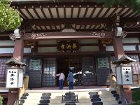 本堂を見学させて頂きました